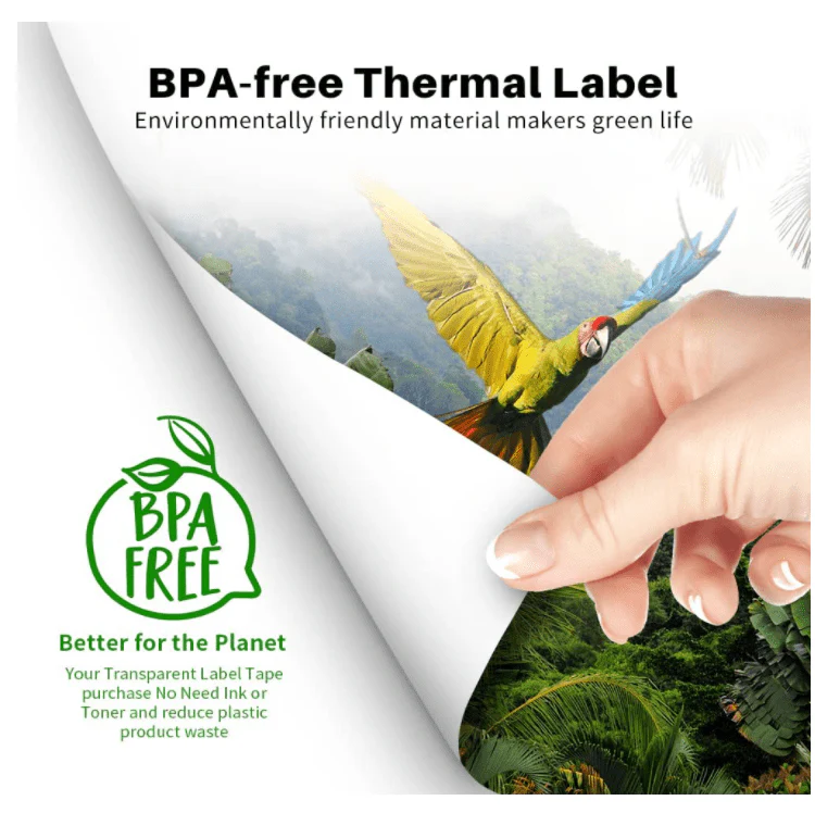 Phomemo Quick Dry 8.26"x11.69" A4 Thermal Paper for M08F/M832/Q302 - Image 6