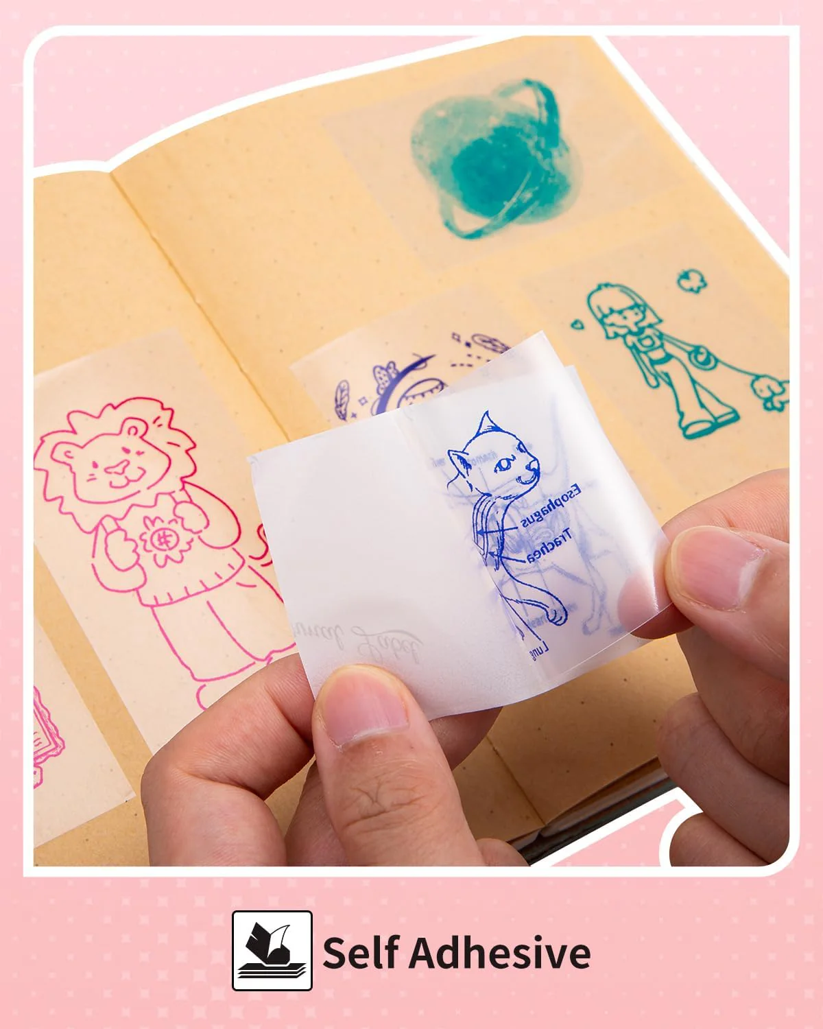 Phomemo Thermal Transparent Sticker Paper | 50mm For T02/M02X | Rose/Blue/Green 3 Rolls - Image 3